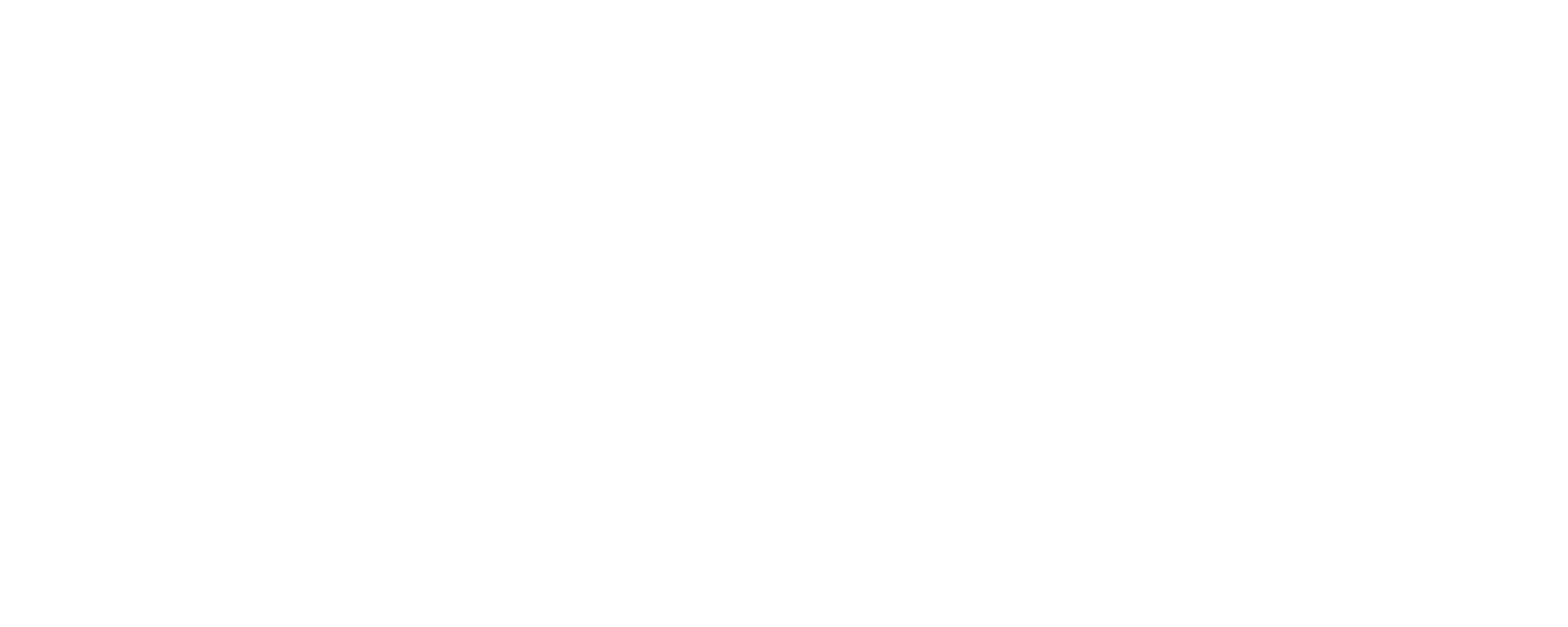 Bella Media
